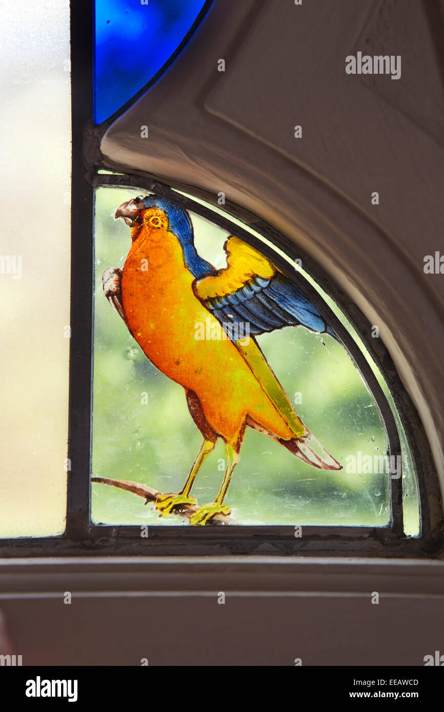 UK, Londres, Twickenham, Strawberry Hill House, motif perroquet vitrail recueillies par Horace Walpole Banque D'Images