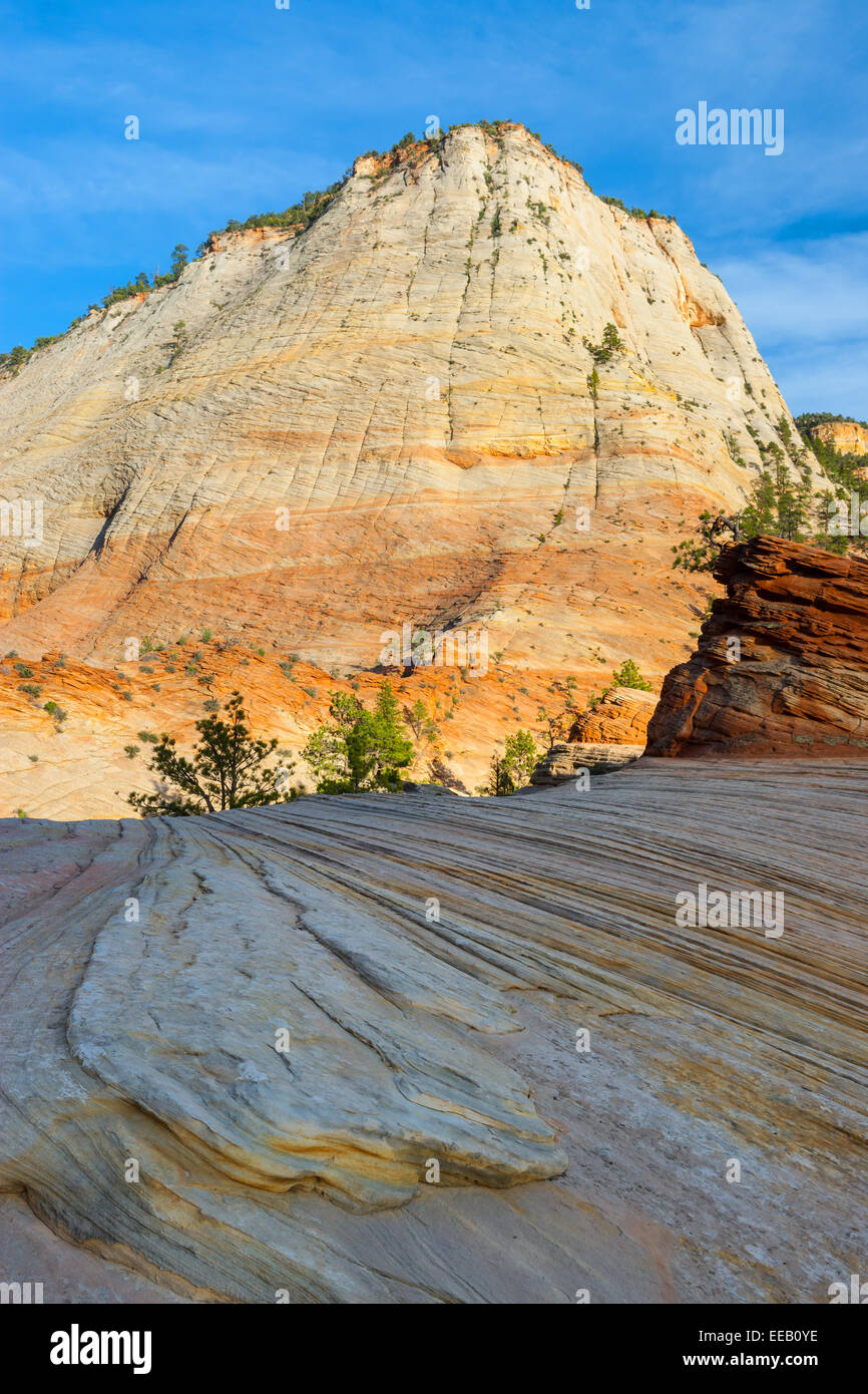 Checkerboard Mesa est situé juste à l'Est de l'Zion National Park, Utah, USA Banque D'Images