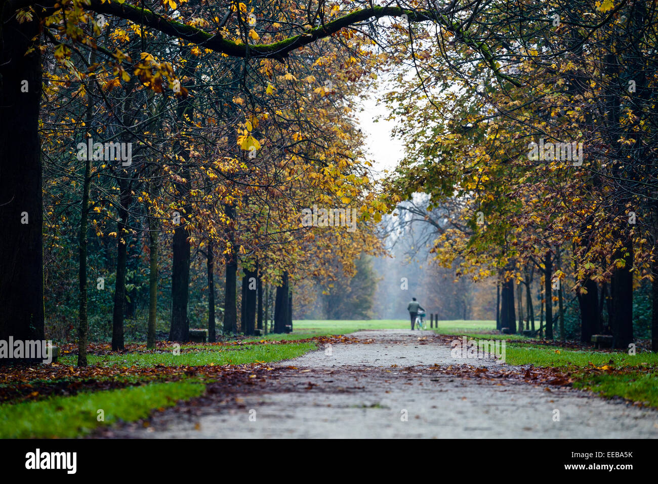 Un homme d'âge mûr en poussant son vélo à travers le parc dans un jour d'automne Banque D'Images