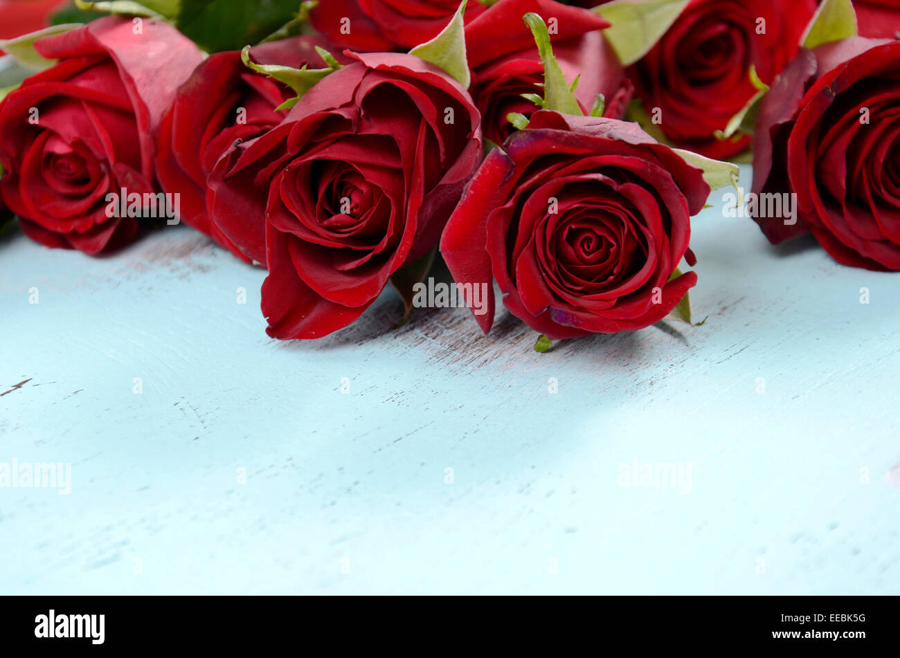 Belles roses rouges sur la table shabby chic bleu pâle. Banque D'Images