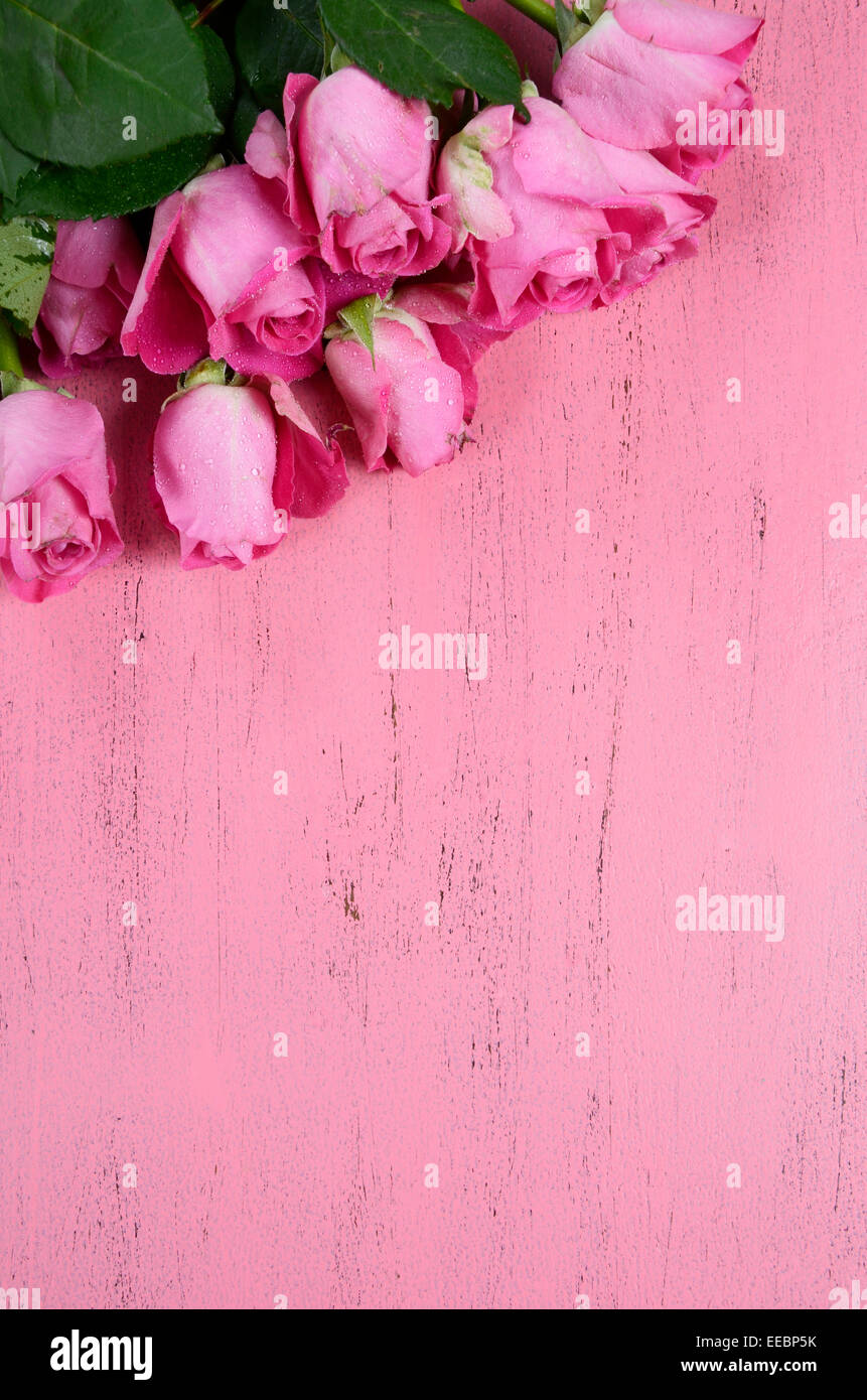 Roses rose rose sur fond de bois vertical, avec copie de l'espace pour votre texte ici. Banque D'Images