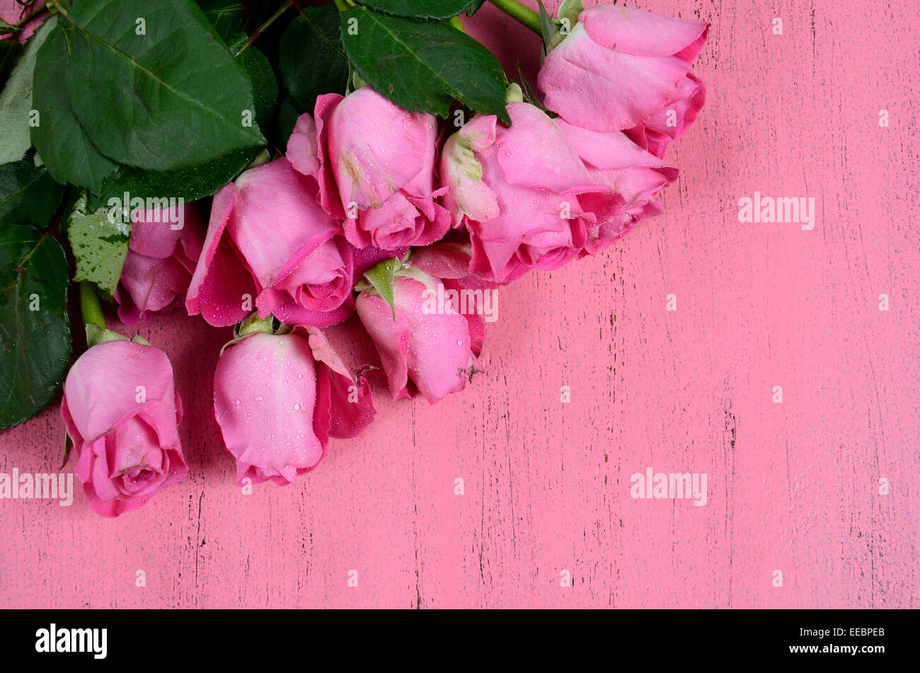 Roses roses sur fond de bois de rose avec l'exemplaire de l'espace pour votre texte ici. Banque D'Images