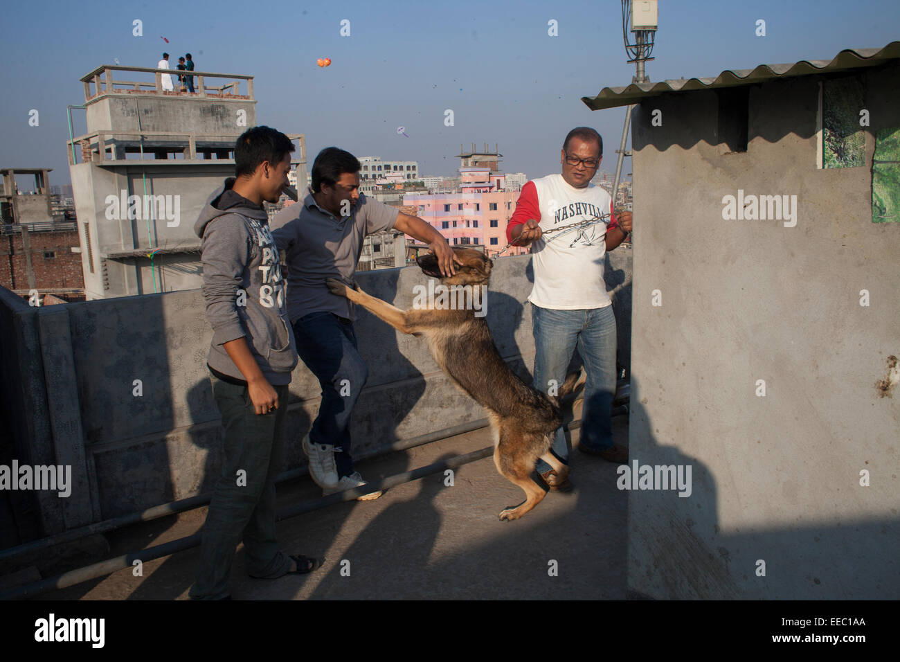 Dhaka, Bangladesh. 15 Jan, 2015. Le Shakrain Festival a eu lieu dans la région de Shakhari Bazar de la vieille ville de Dhaka aujourd'hui. Shakrain aussi connu sous le nom de Festival du cerf-volant est célébré à Dhaka, au Bangladesh, à la fin de la mois Poush Bangla. Shakrain Festival à l'un des plus vieux, célèbre et important festival annuel du Bangladesh. C'est le symbole de l'unité et de l'amitié au Bangladesh. Shakrain Festival est important, en particulier pour les lots de vol de cerfs-volants colorés. Le peuple du Bangladesh voler des cerfs-volants colorés et conception visuelle sur cette journée. Zakir Hossain Chowdhury Crédit : zakir/Alamy Live News Banque D'Images