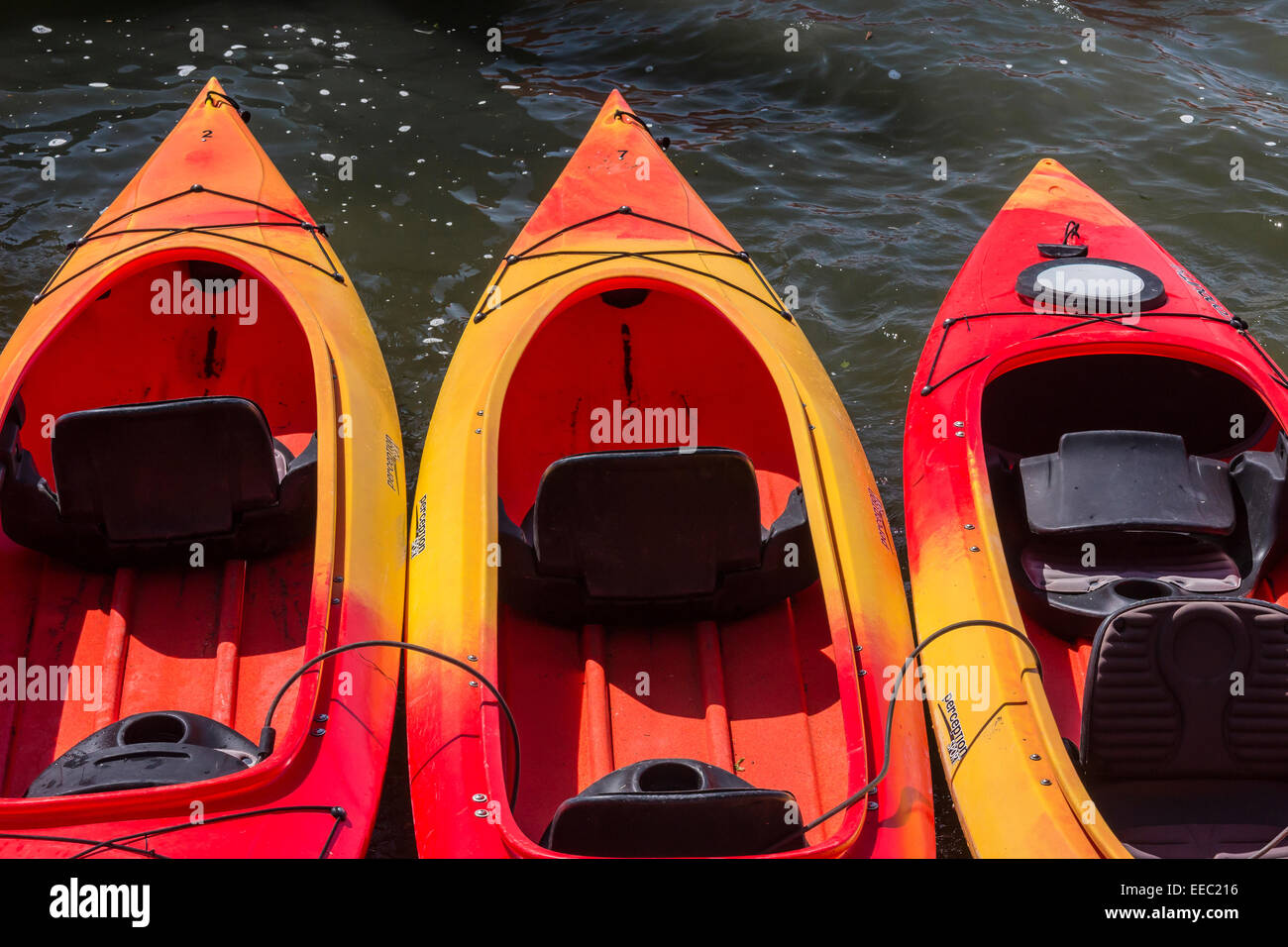 Une pourvoirie's kayaks le long de la rivière russe près de son embouchure dans l'océan Pacifique, Jenner, California, USA Banque D'Images