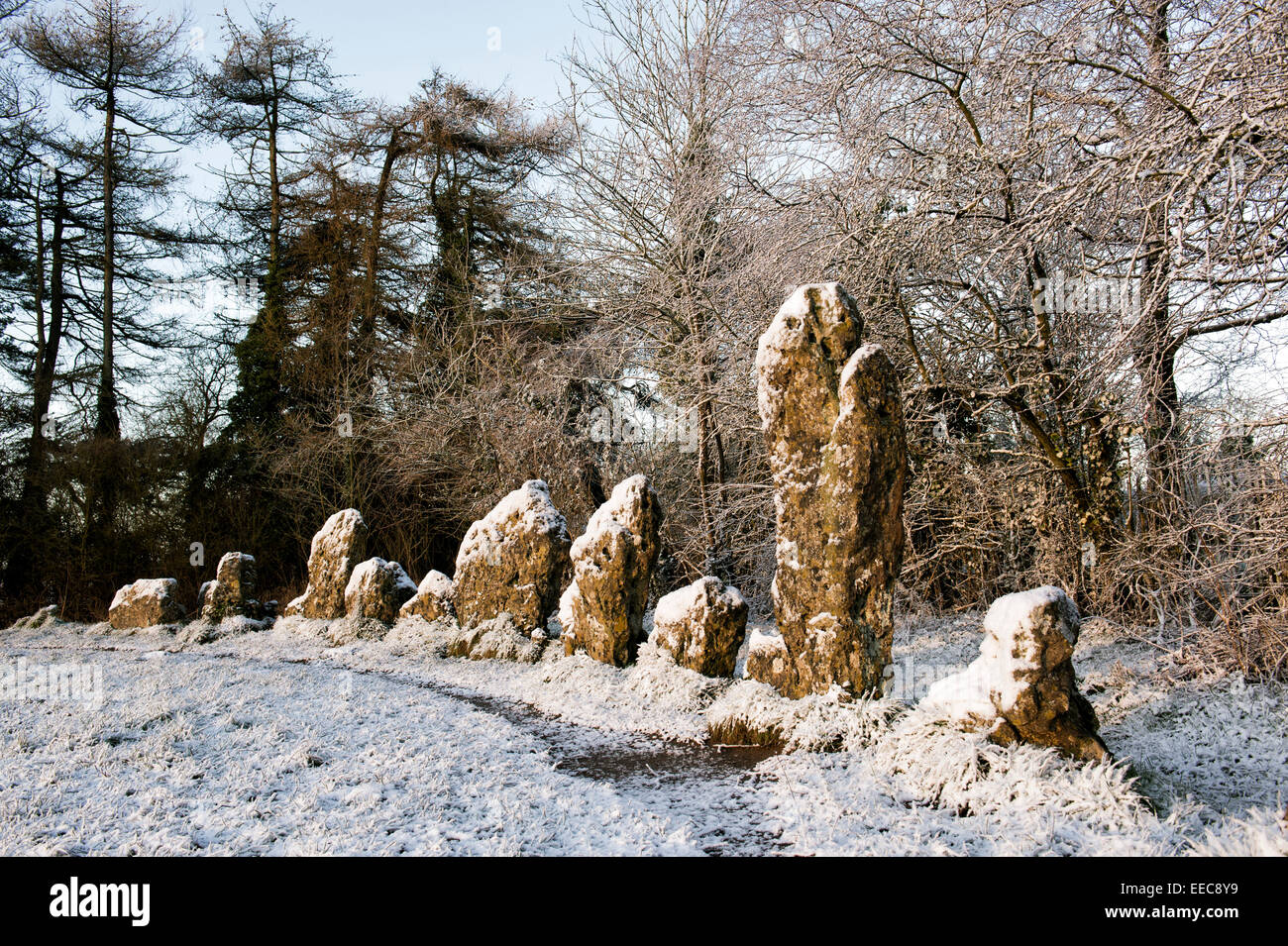 Le Rollright stones recouverts de neige en hiver. L'Oxfordshire, Angleterre. Banque D'Images