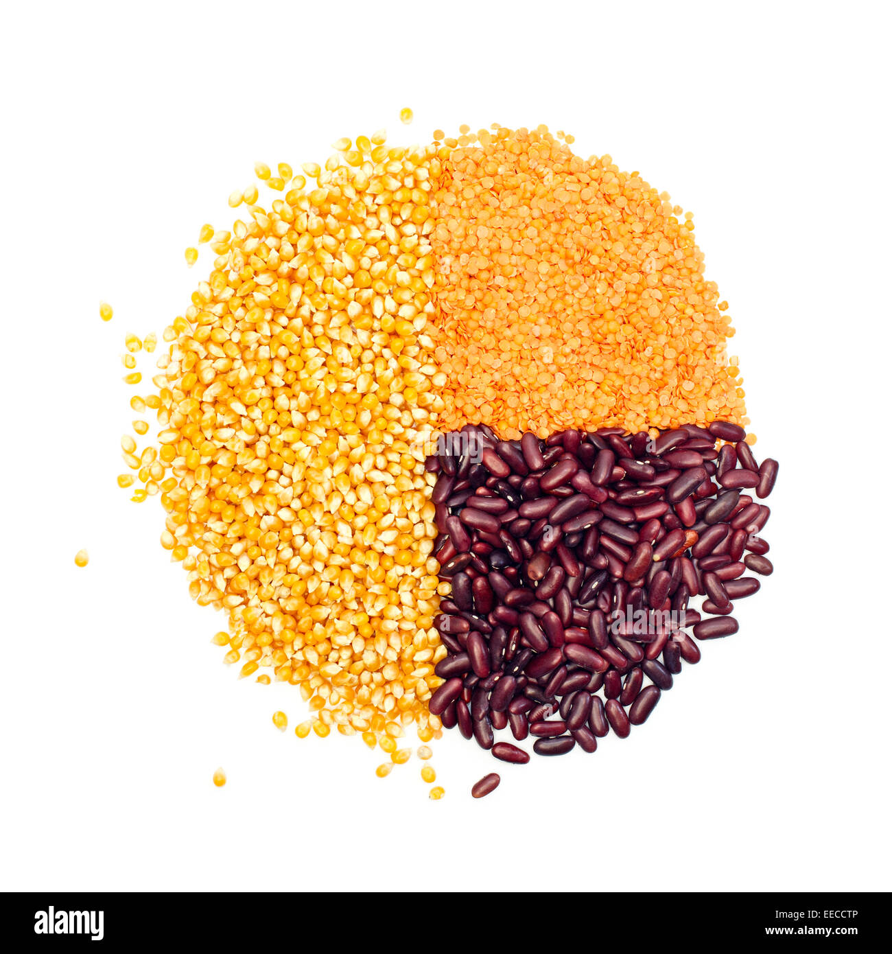 Graphique de maïs, lentilles et haricots rouges isolated on white Banque D'Images
