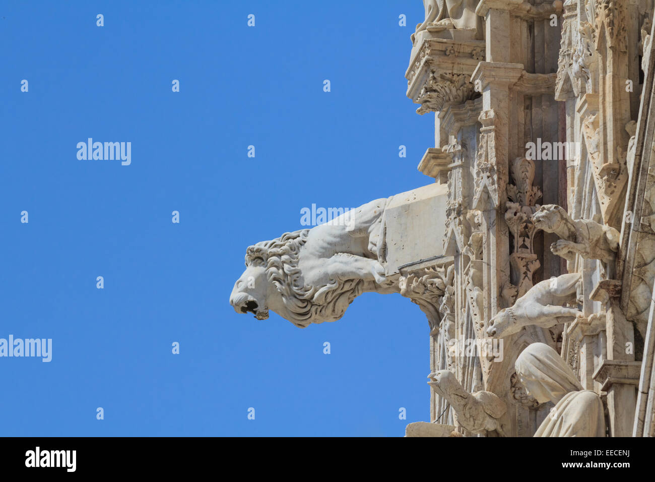 Un lion sculpture agissant comme une gargouille sur le dôme de Sienne Banque D'Images