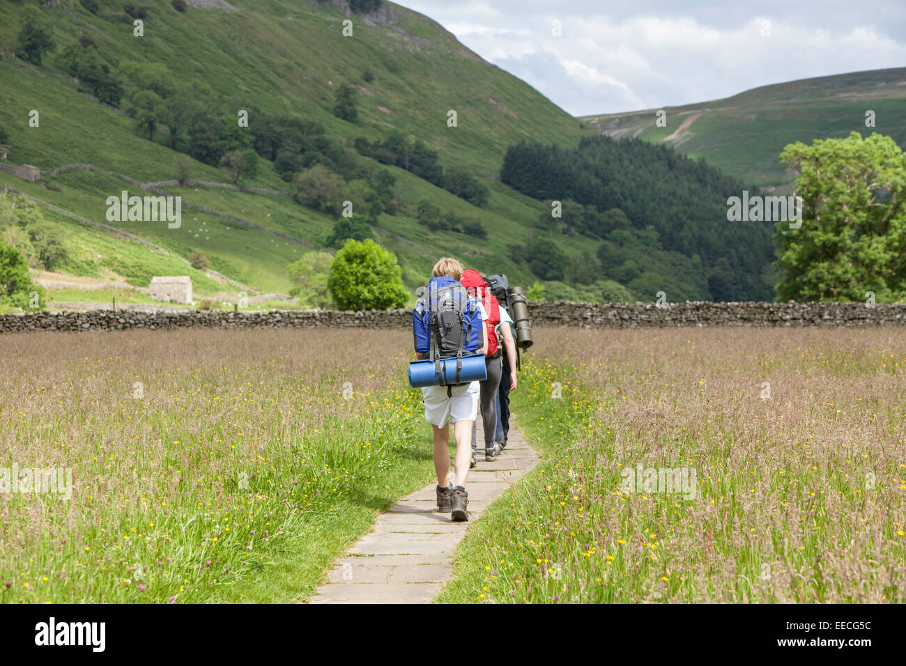 Young male backpackers sur le Pennine Way près de Muker, Yorkshire Dales National Park, North Yorkshire, England, UK Banque D'Images