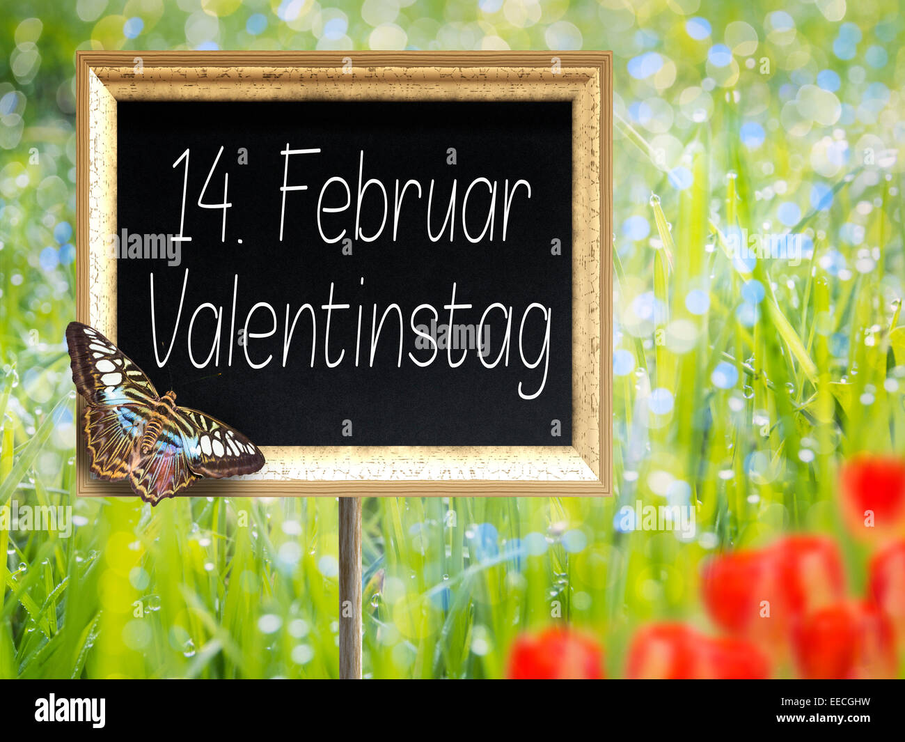 Blank chalkboard sur une prairie avec texte allemand 14. Februar Valentinstag Banque D'Images