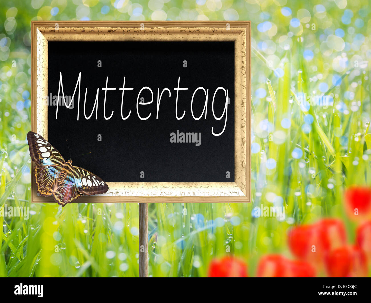 Blank chalkboard sur une prairie avec texte allemand Muttertag Banque D'Images