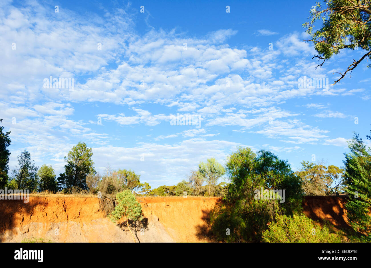 Eroded Creek Bank, Alpana, Flinders Ranges, Australie Méridionale, Australie Banque D'Images