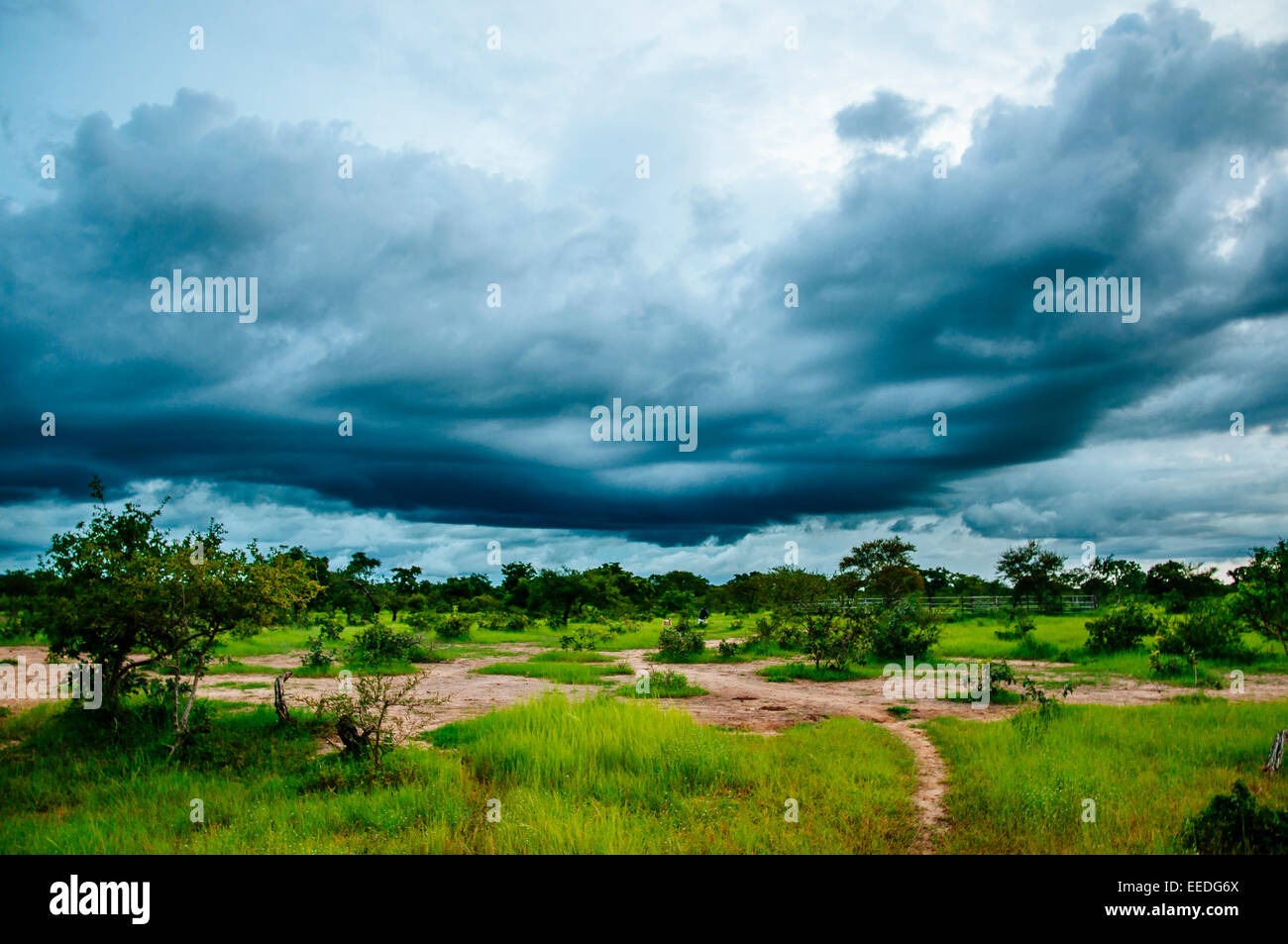 Super tempête durant la saison des pluies, le Burkina Faso. Banque D'Images