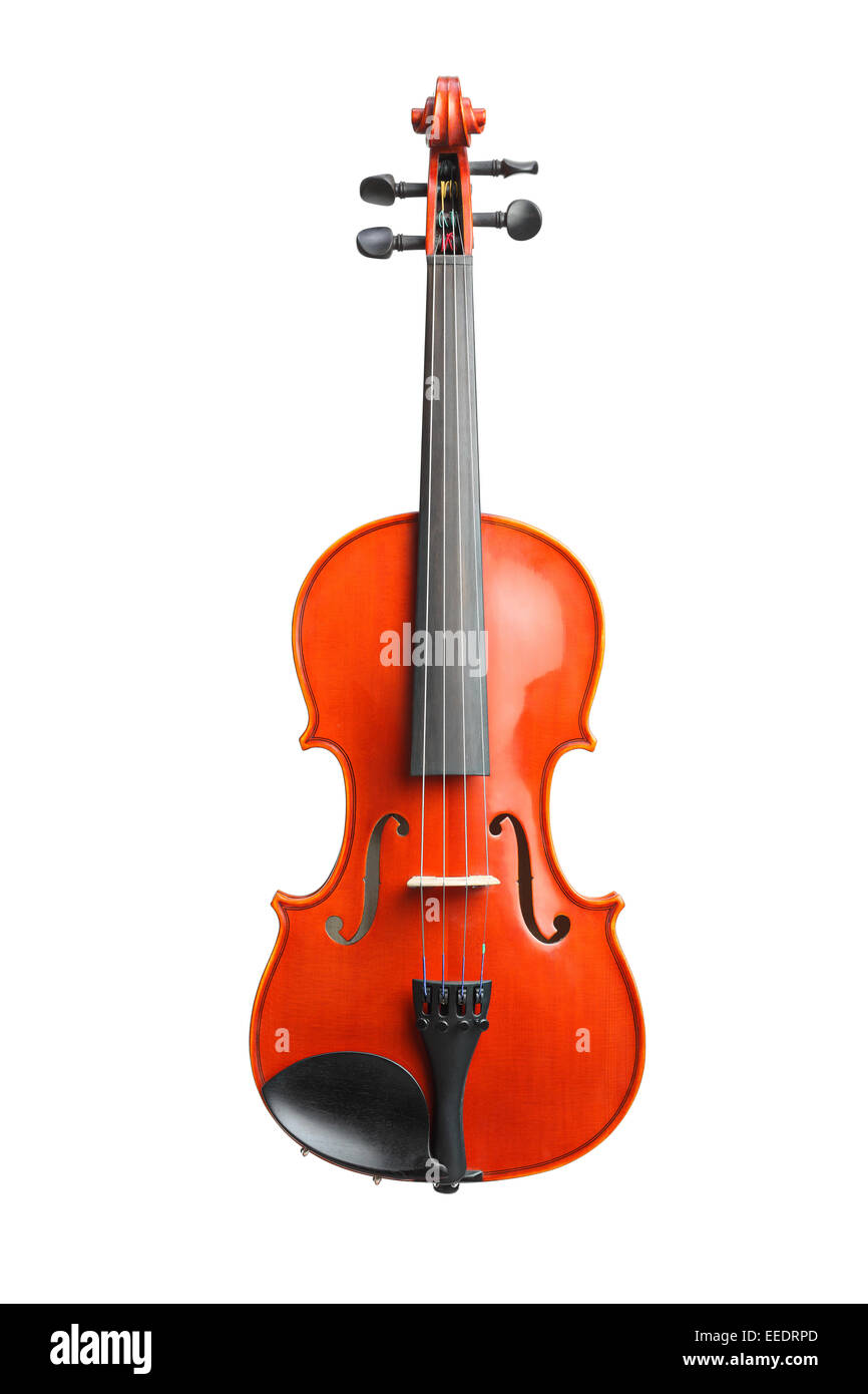 Portrait d'un violon en bois brun isolé sur fond blanc Banque D'Images