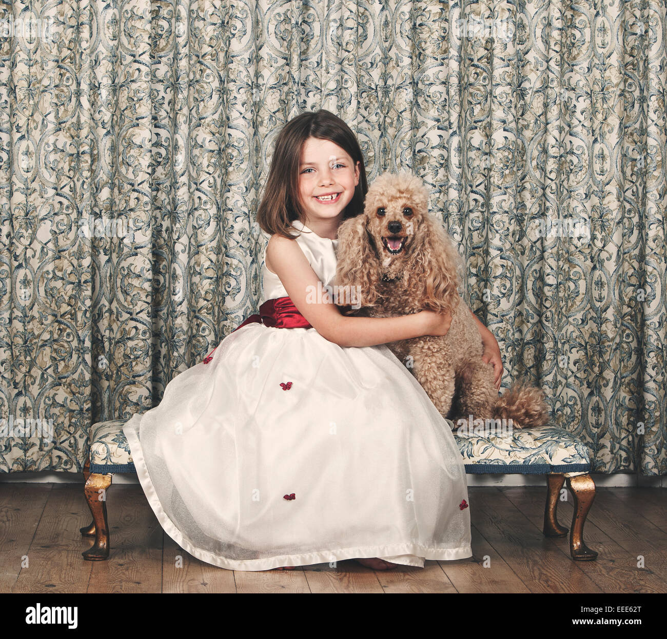 Abricot caniche miniature Enfant 6 ans  + Banque D'Images