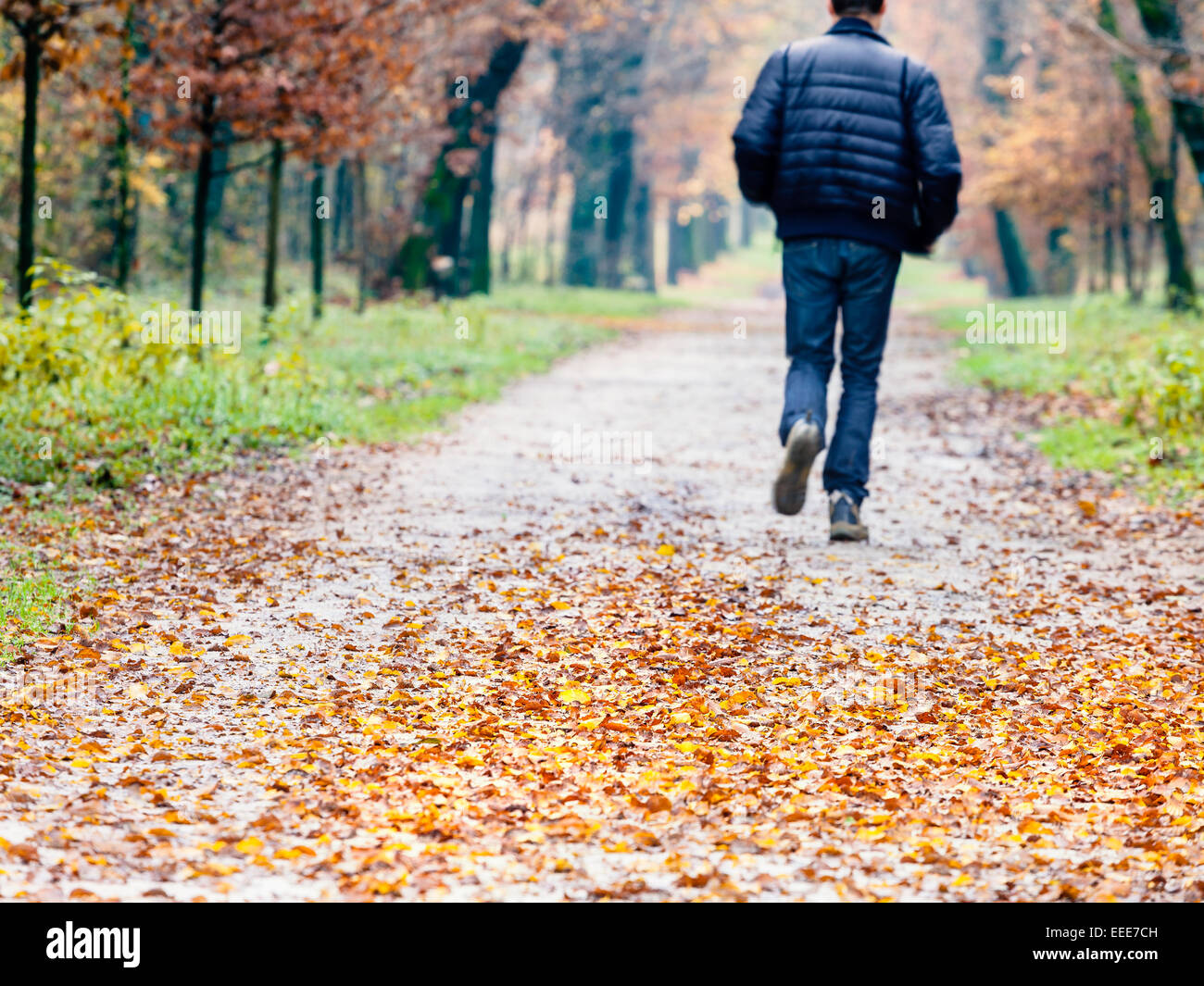 Un jeune adulte homme marcher dans une rue étroite couverte par les feuilles rouge et jaune Banque D'Images