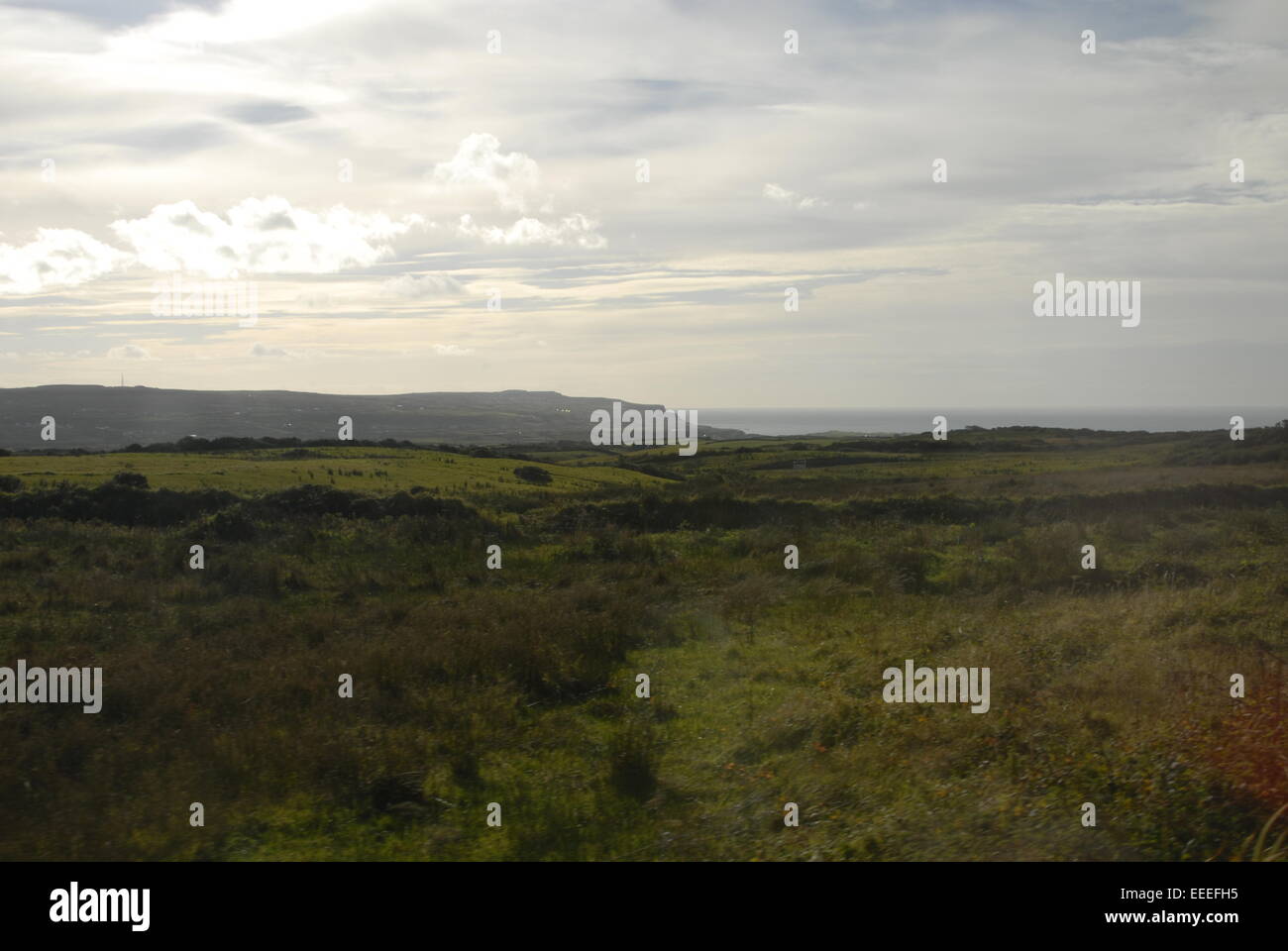 Campagne irlandaise Banque D'Images