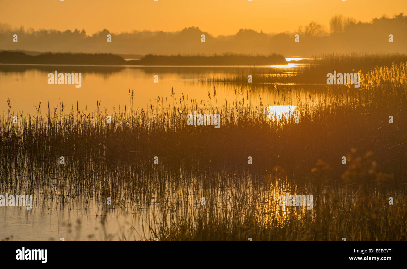 L'aube sur la rivière Alde. Banque D'Images