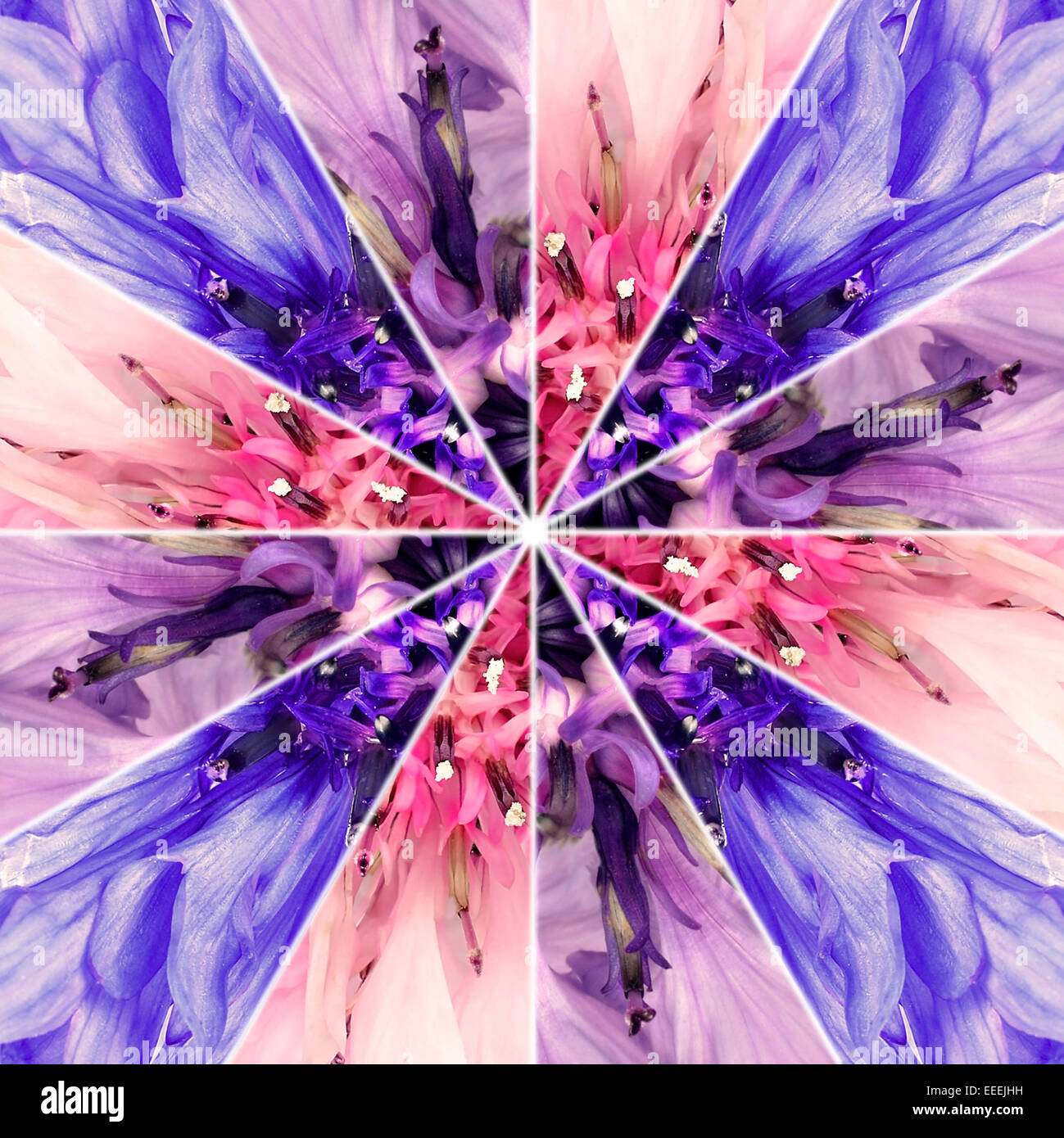 Fleur de Lys symétrique centre Collage. L'image est faite de barbeaux sur trois qui sont en même diviced Banque D'Images