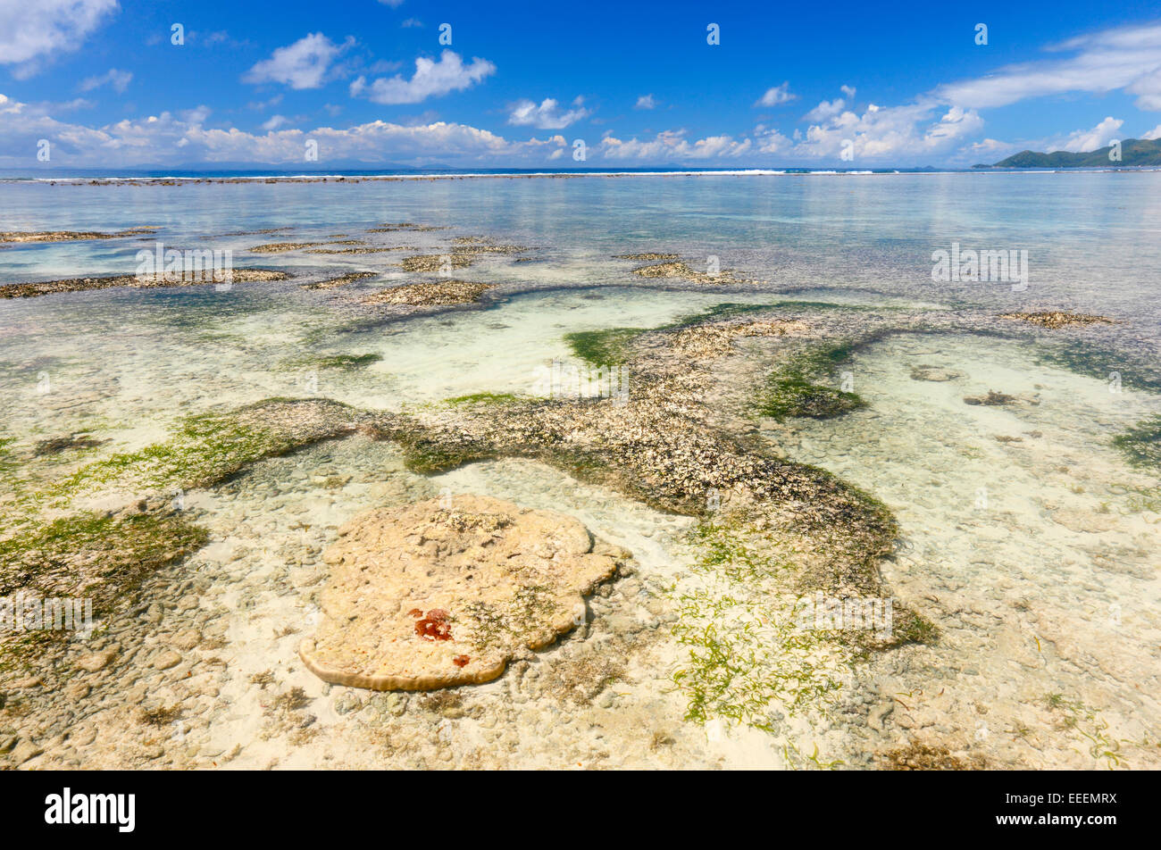 Seychelles Coral rives, La Digue Banque D'Images