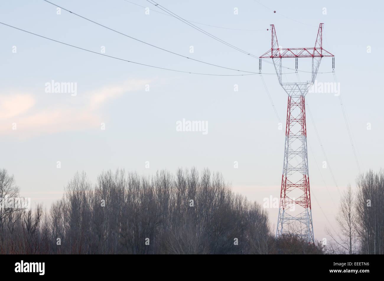 Pylône électrique rouge et blanc dans la forêt Banque D'Images