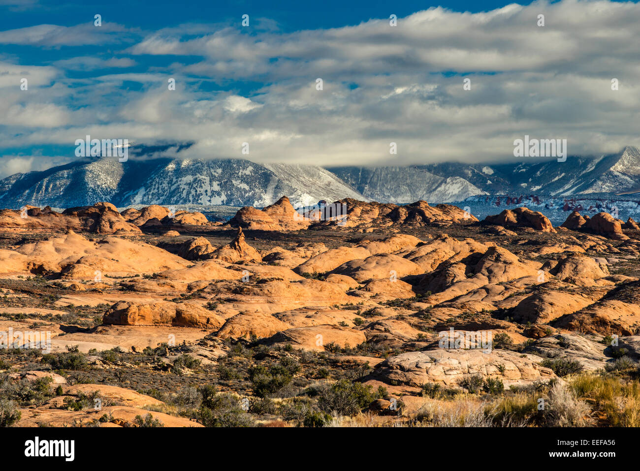 Vue d'hiver sur les Dunes pétrifiées aux cimes enneigées, Arches National Park, Utah, USA Banque D'Images