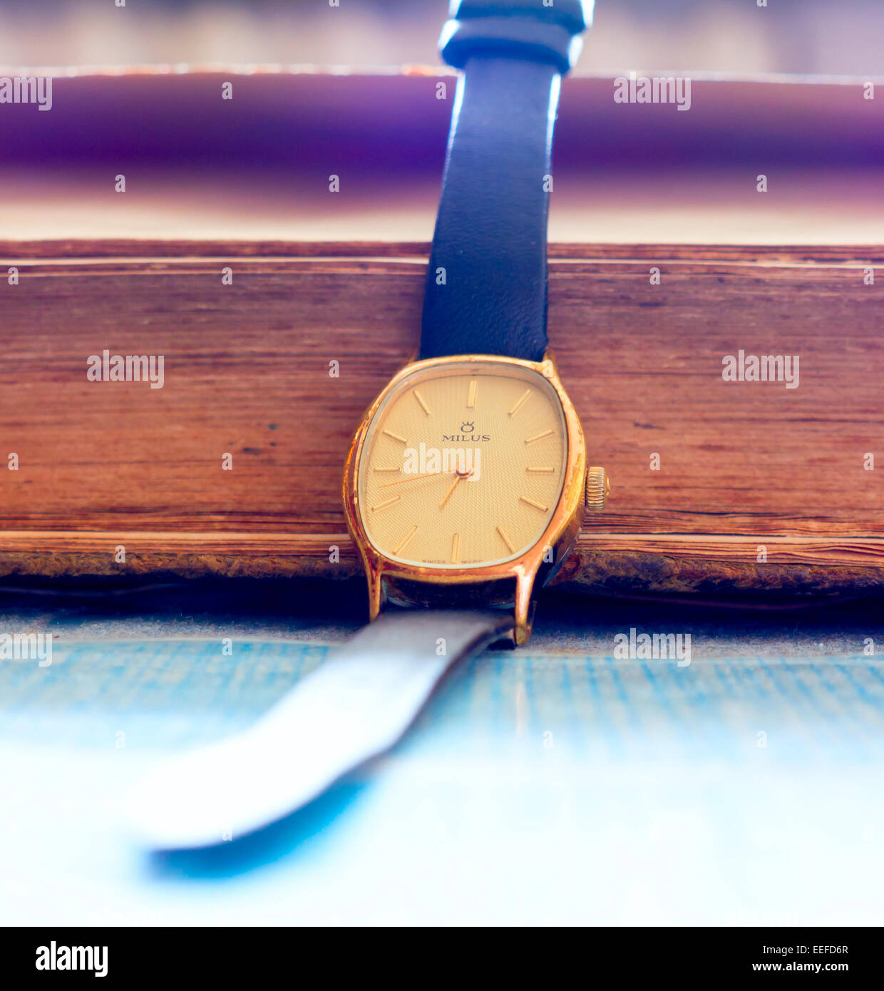 GOMEL, Bélarus - 27 décembre 2014 MILUS : SWISS MADE Modèle M8.1040 montre-bracelet.  Milus est une marque horlogère suisse Photo Stock - Alamy