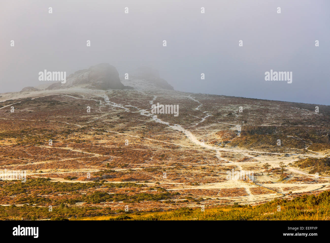 Dartmoor National Park, Devon, UK. 17 Jan, 2015. Matin sur les roches de ligt Haytor Haytor Down après une nuit de neige, Dartmoor National Park, Devon, Angleterre, Royaume-Uni, Europe. Crédit : Sébastien Wasek/Alamy Live News Banque D'Images