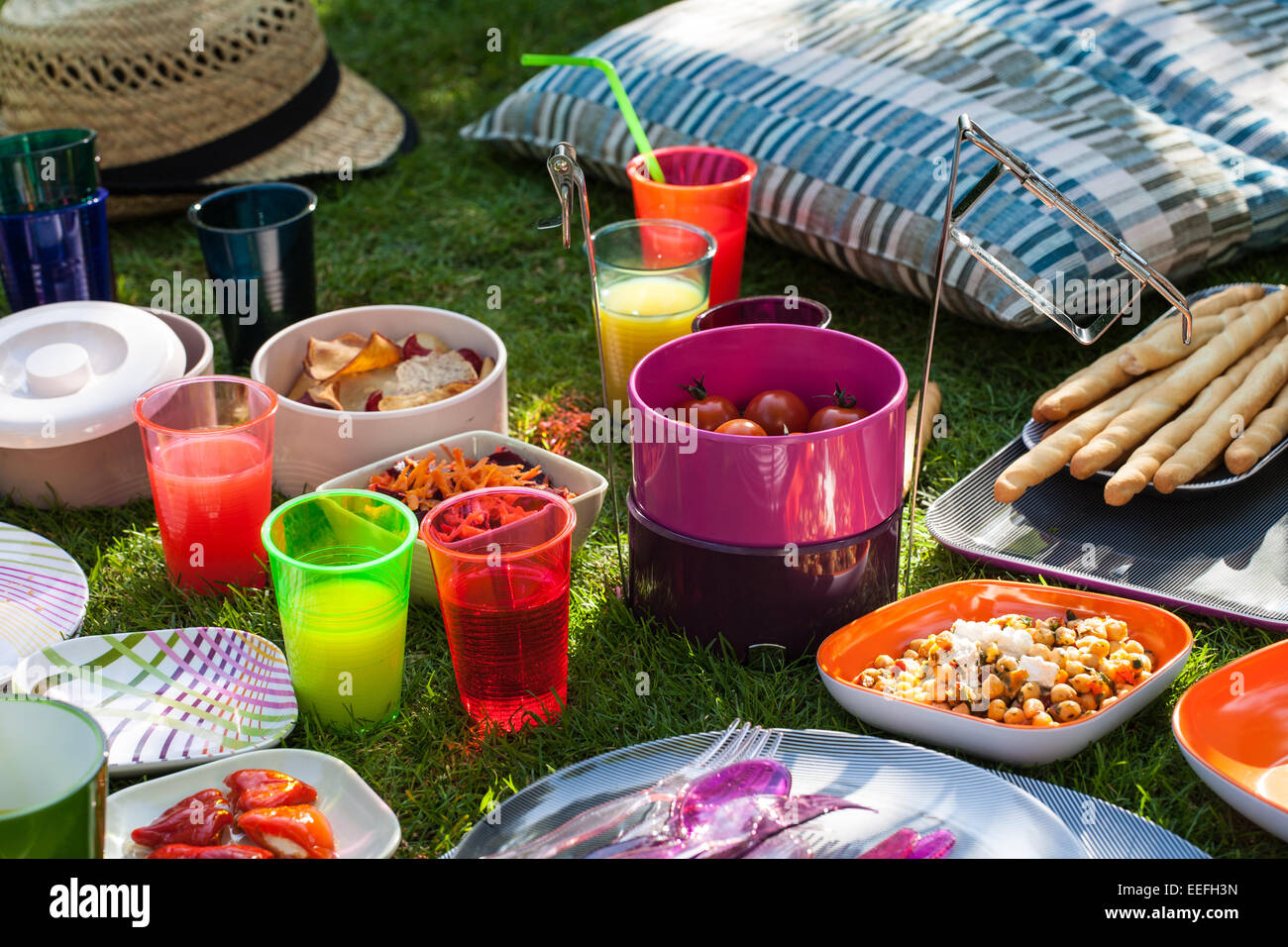 Pique-nique en plein air avec des plaques en plastique tasses et Habitat Banque D'Images