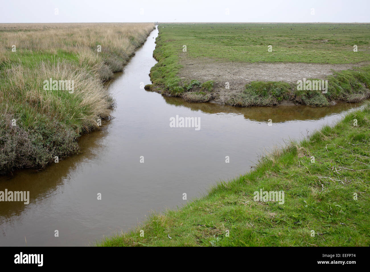 Hooge, Allemagne, Priel sur holm Hooge Banque D'Images