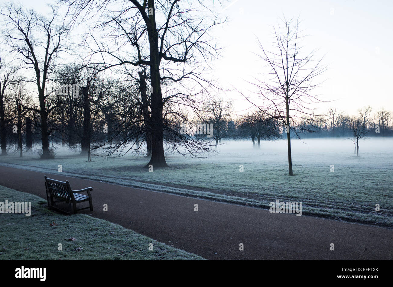 Les Jardins de Kensington brume sur un froid matin d'hiver, matin Givre Banque D'Images