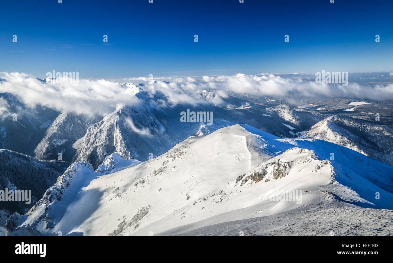 Tatras - hiver vue au-dessus des nuages Banque D'Images