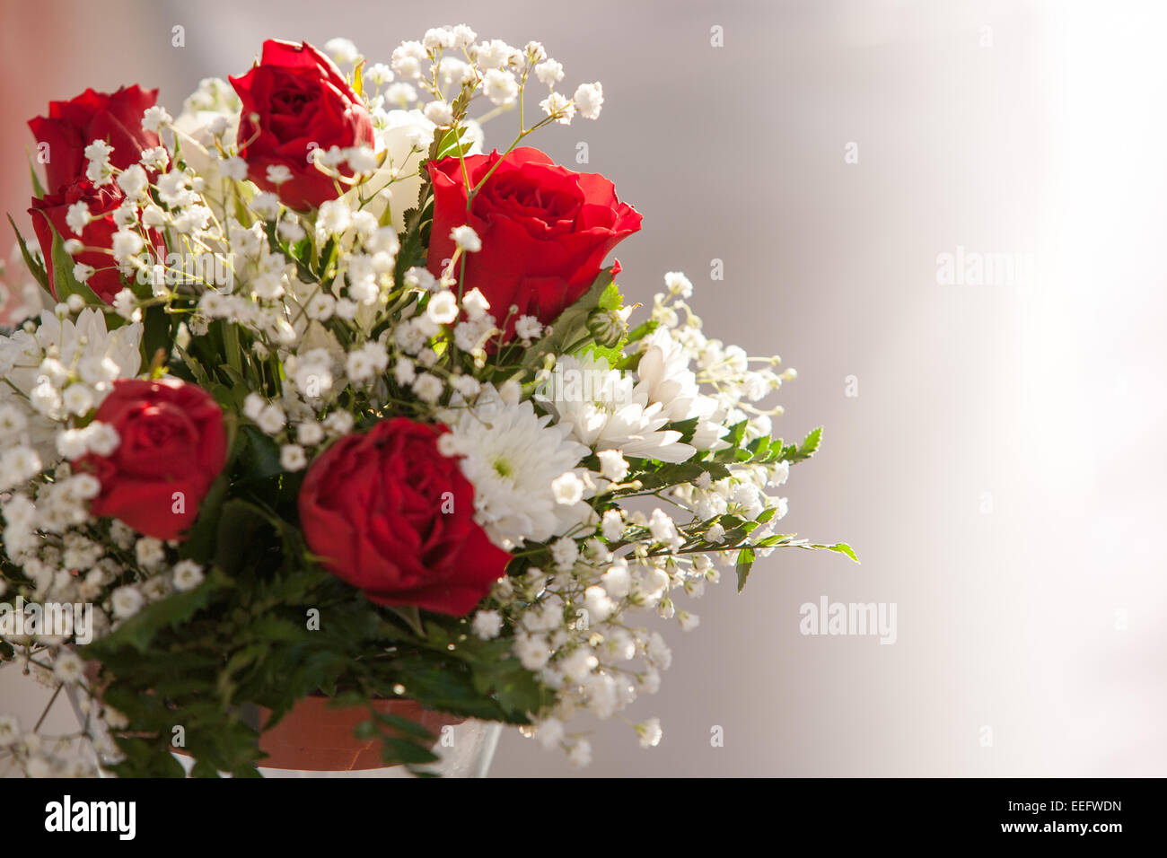 Close up d'un bouquet de rose rouge Banque D'Images