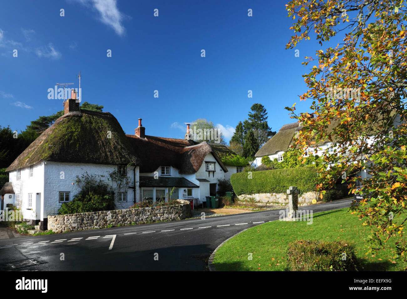 Une chaumière avec un arbre en automne feuillage et un village vert. Banque D'Images