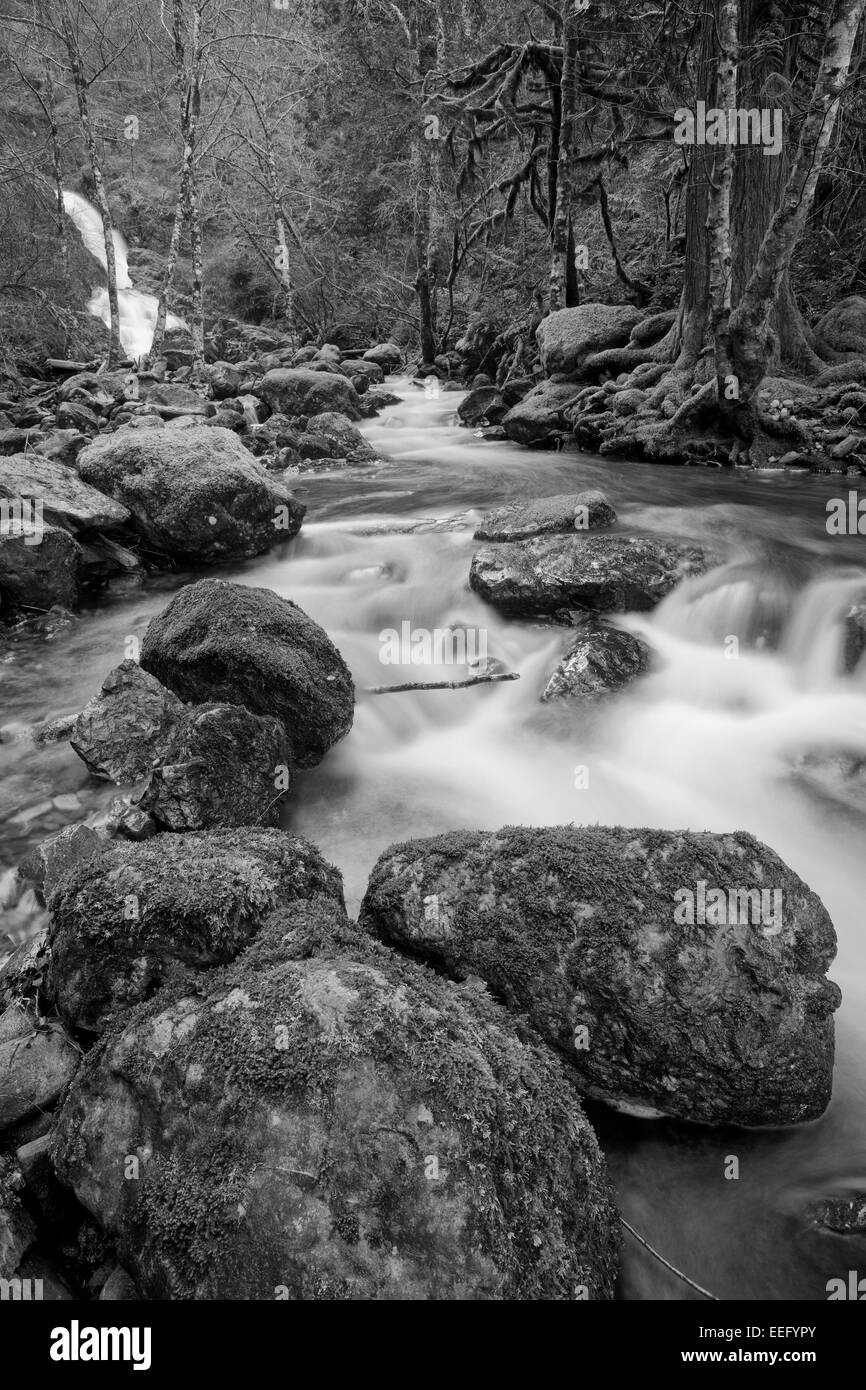 Todd Creek et cascade dans Park-Sooke-poule Sooke, Colombie-Britannique, Canada. Banque D'Images