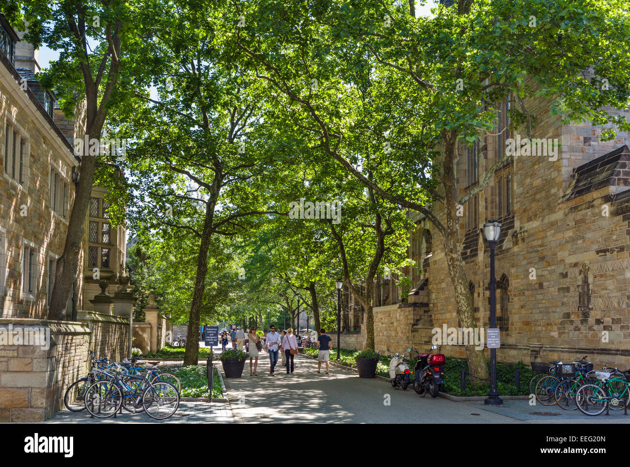 Wall Street à l'entrée du Campus croix à l'université de Yale, New Haven, Connecticut, USA Banque D'Images