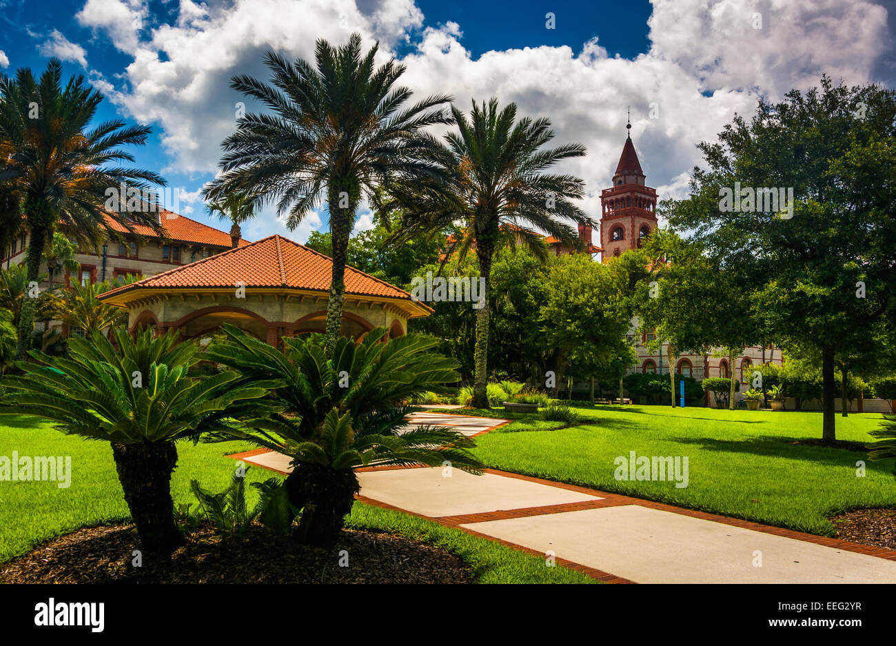 Palmiers et de bâtiments à Flagler College, Saint Augustine, Floride. Banque D'Images
