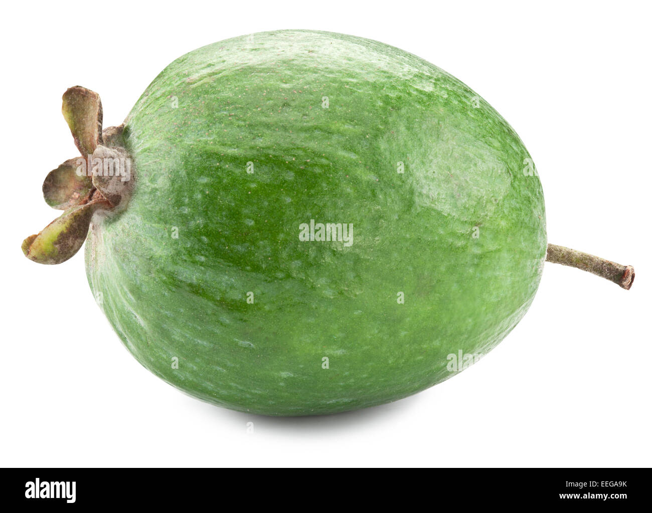 Feijoa fruits isolés sur un fond blanc. Fichier contient des chemins de détourage Banque D'Images