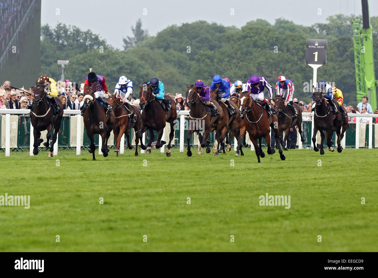 Le Royal Ascot, chef de file (troisième à partir de la droite) avec Joseph O'Brien jusqu'remporte la Coupe d'Or Banque D'Images