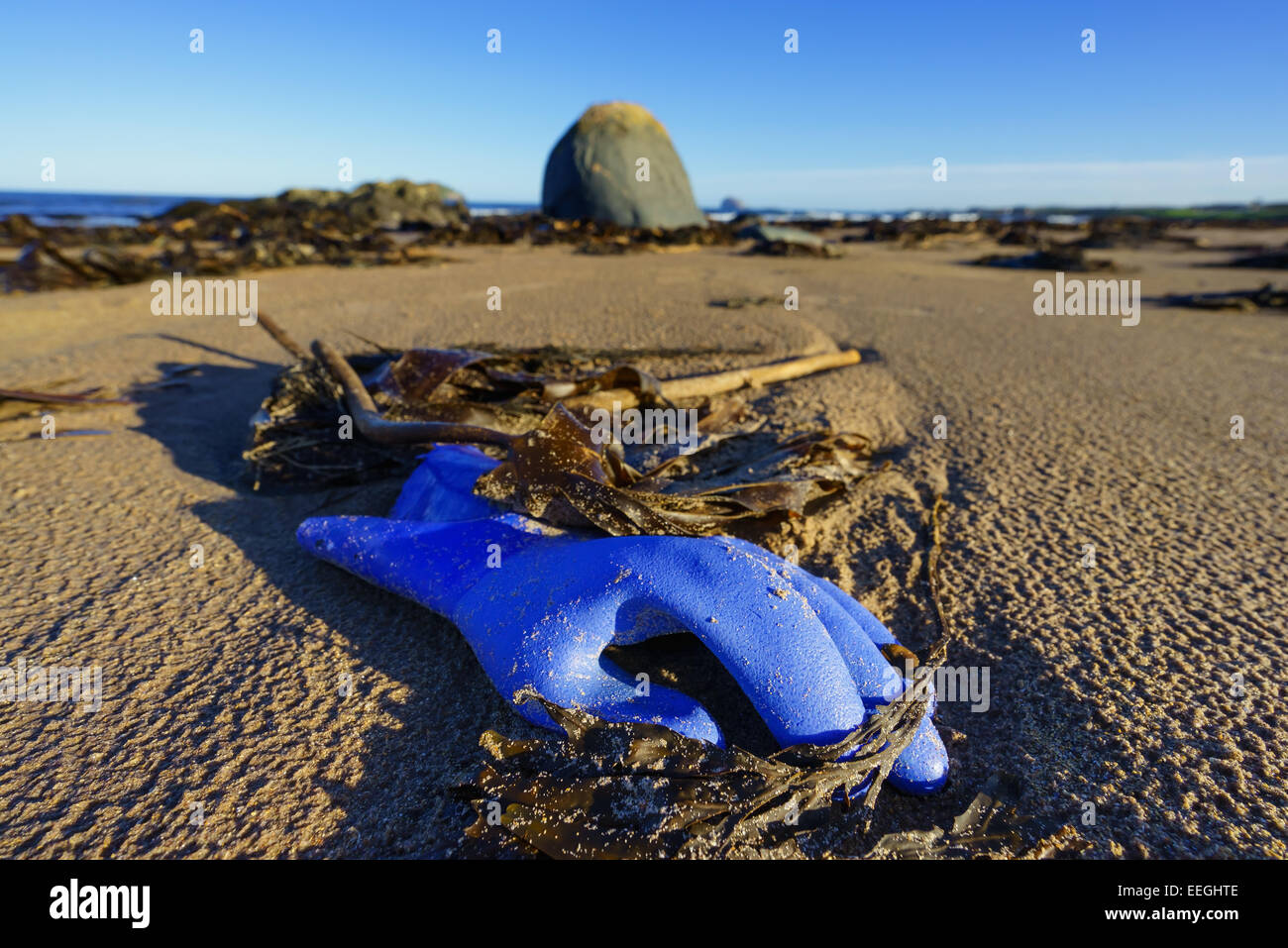 Un gant bleu échoués sur une plage en Ecosse. Banque D'Images