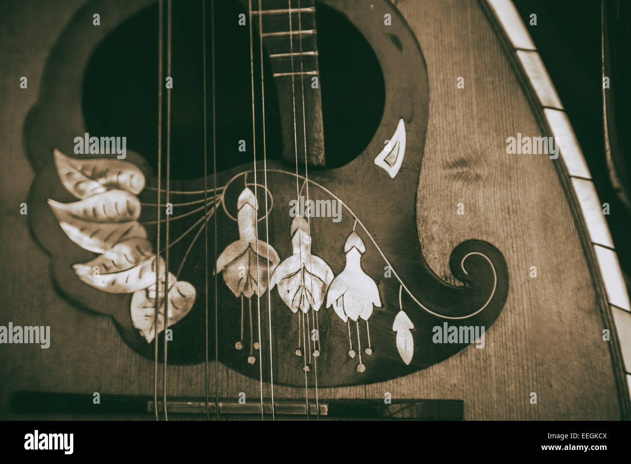 Un ancien instrument de musique, l'harmonie, l'ivoire et de bois, la vue et l'ouïe. Banque D'Images