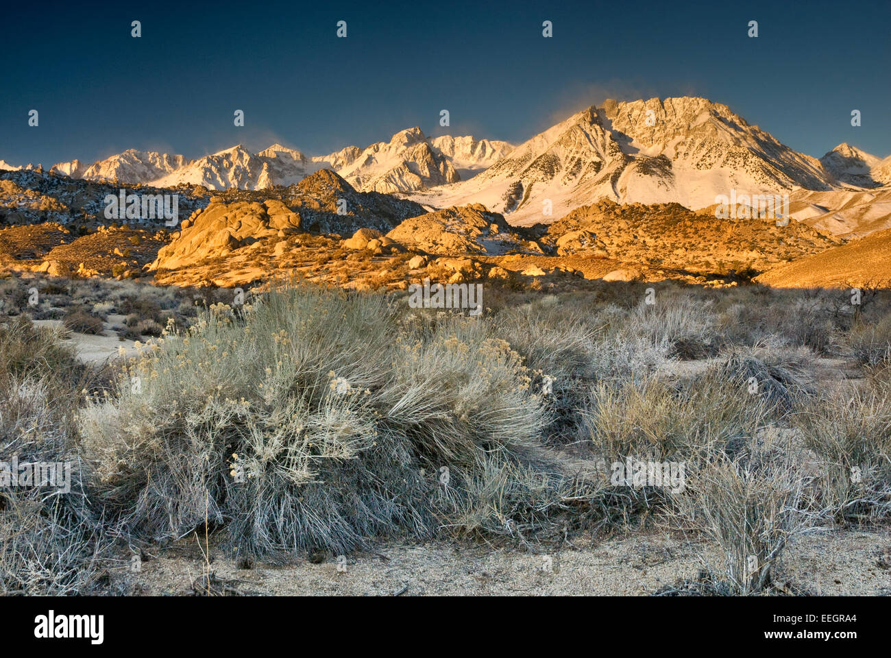 Mt Humphreys et Mtn du bassin dans l'Est de la Sierra Nevada au lever du soleil en hiver, rabbitbush, pays de babeurre, California, USA Banque D'Images
