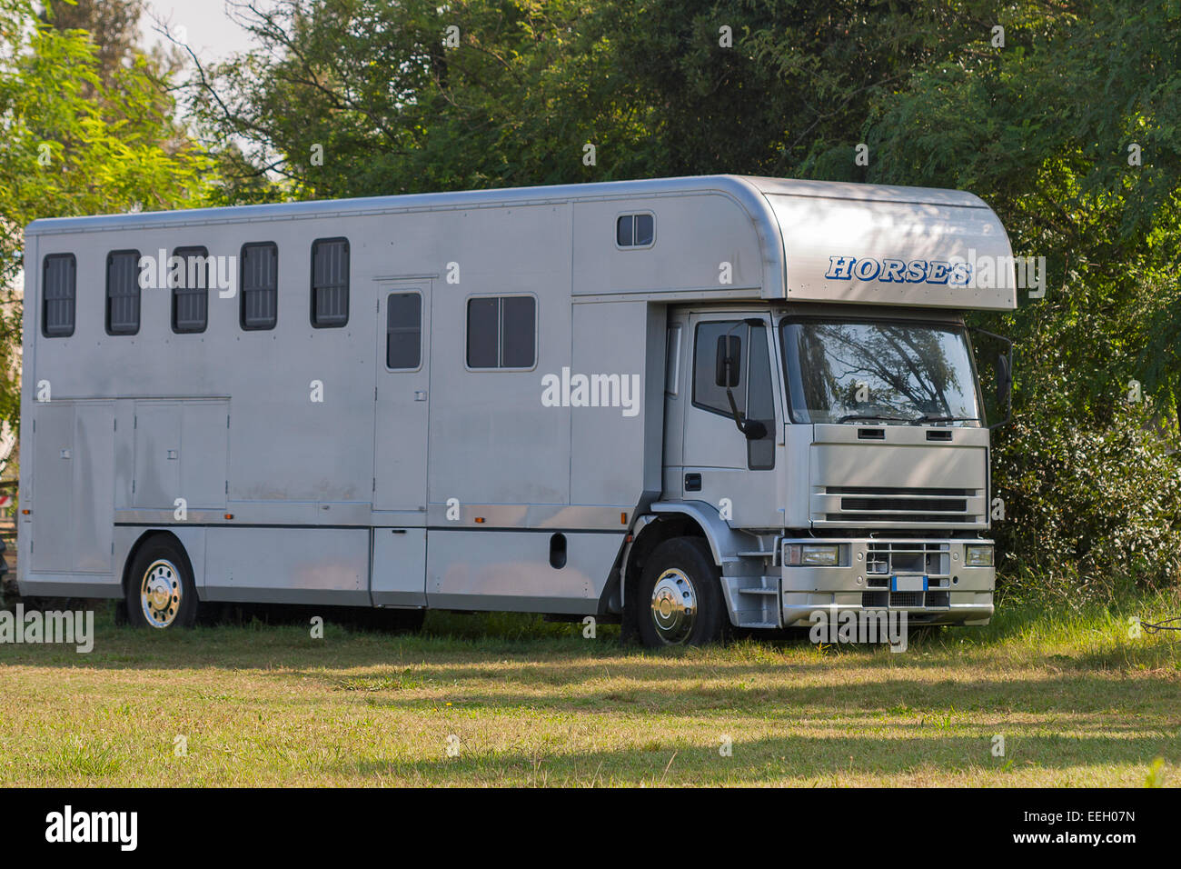 Chariot de transport moderne pour les chevaux dans la nature Banque D'Images