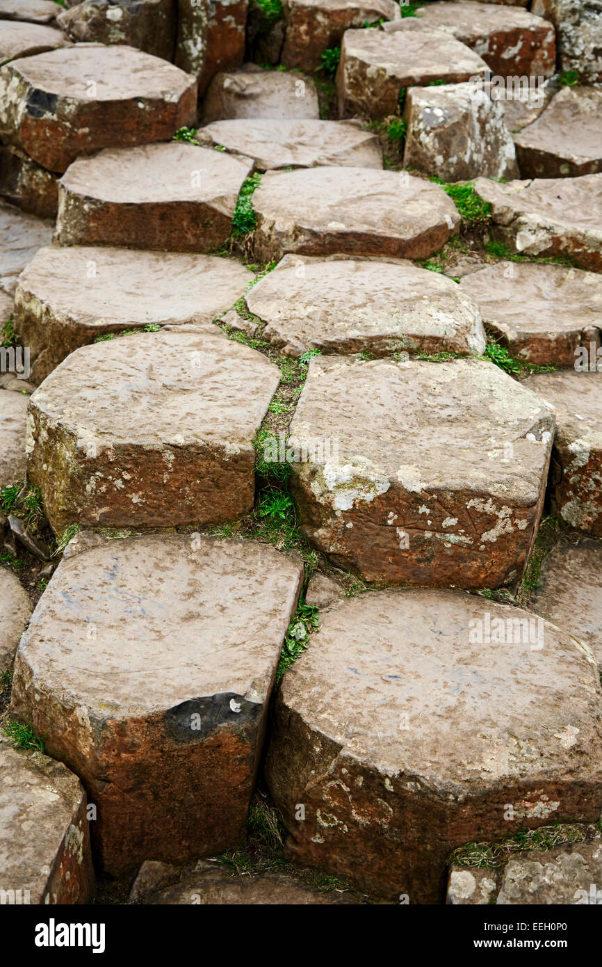 Formations en pierre de basalte hexagonal sur la Chaussée des Géants côte d'Antrim en Irlande du Nord Banque D'Images