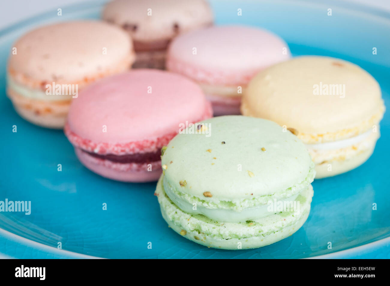 Une assiette de macarons français colorés de la Duchesse Bake Shop à Edmonton, Alberta, Canada. Banque D'Images