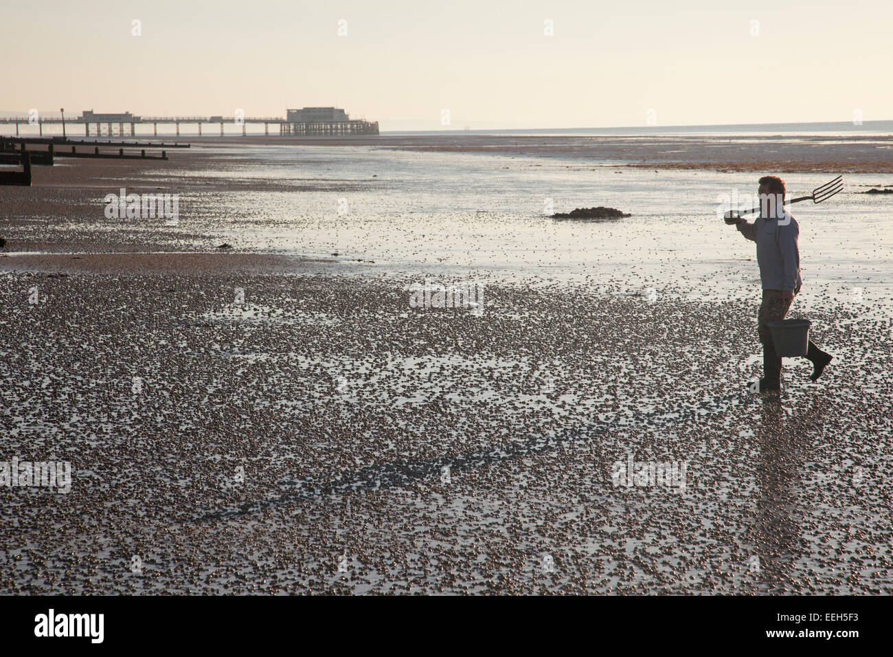 Bait digger walking on beach à Worthing, West Sussex, Angleterre. Banque D'Images