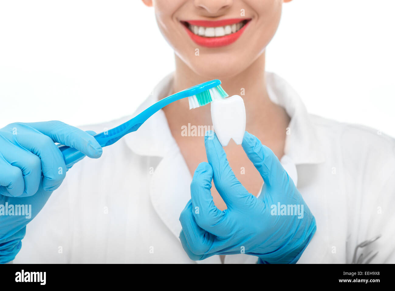 Young smiling woman doctor en uniforme le brossage de dents artificielles sur fond blanc Banque D'Images