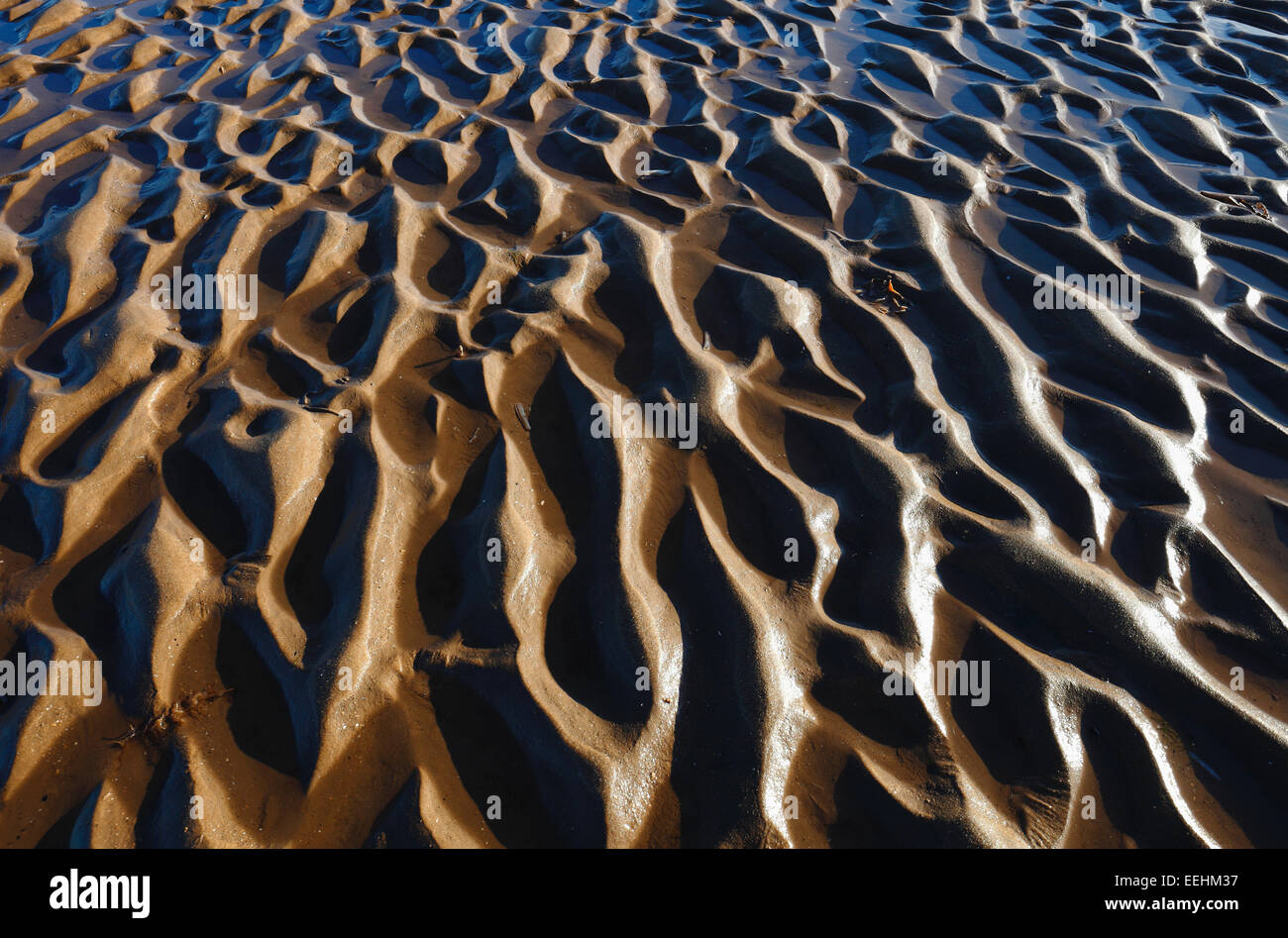 Les habitudes d'ondulation dans le sable sur la plage de Thornham, North Norfolk. Banque D'Images