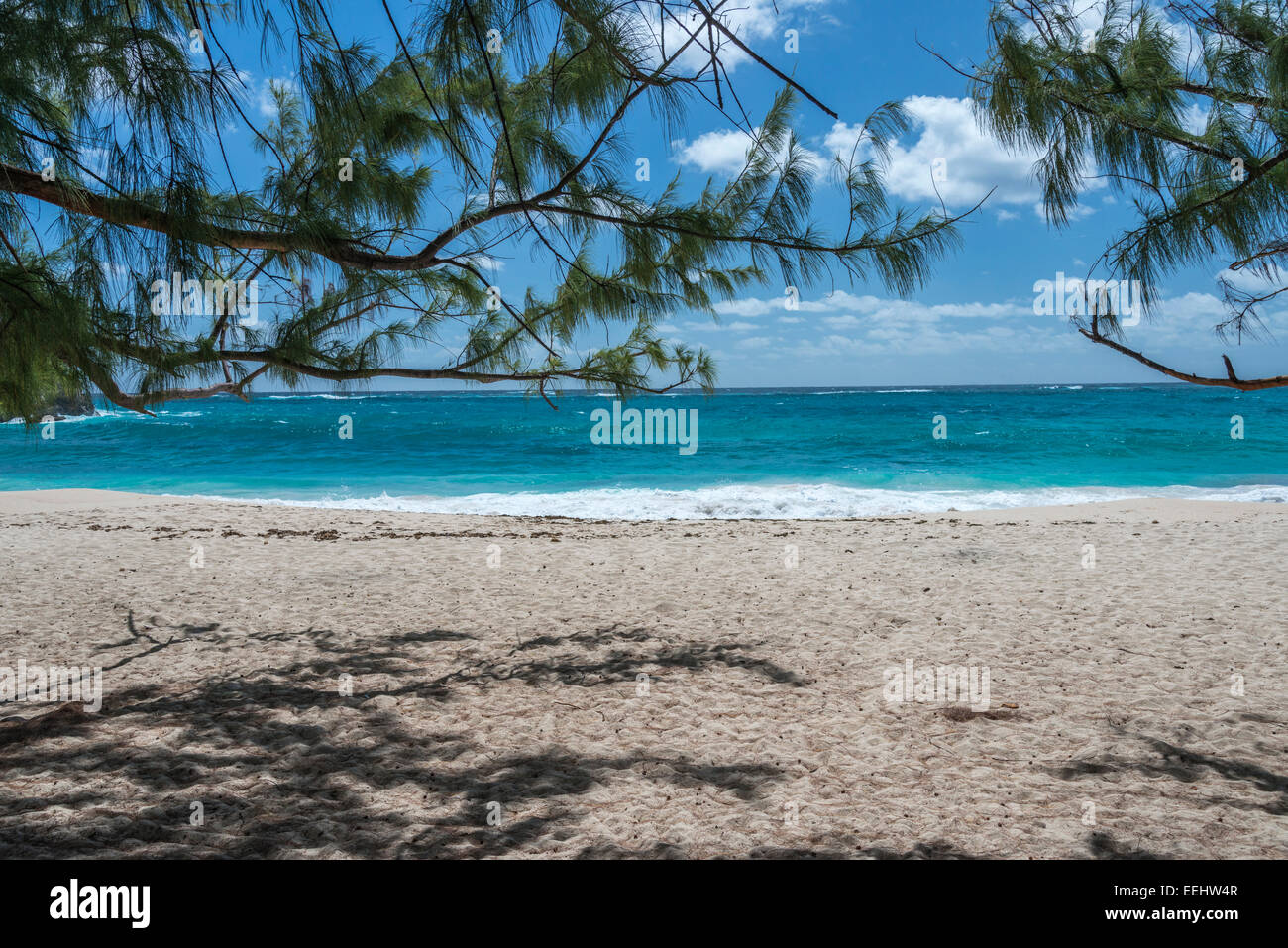 Barbade - Plage de Foul Bay, sur la côte atlantique de l'île des Caraïbes. Banque D'Images