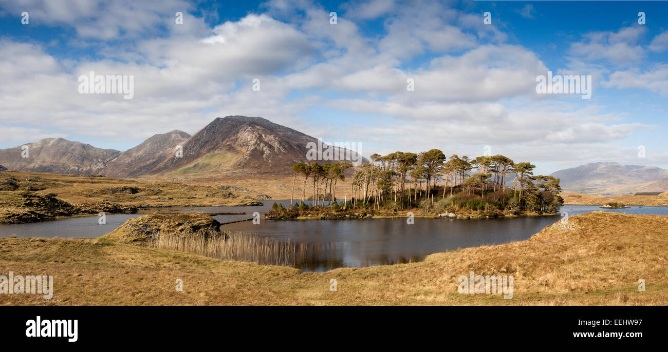 L'Irlande, Galway, le Connemara National Park, Bencorr, de Ballynahinch, vue panoramique Banque D'Images