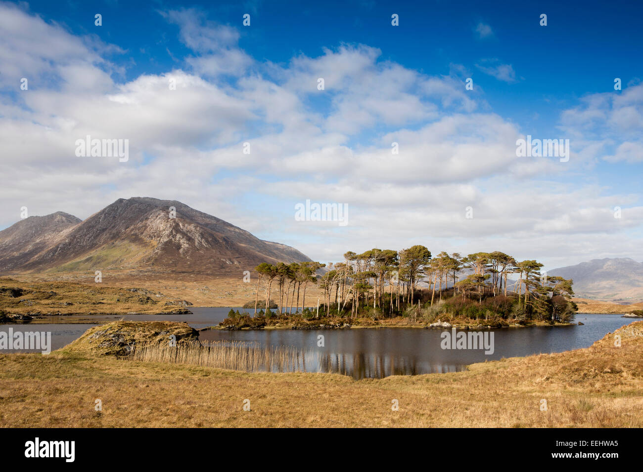 L'Irlande, Galway, le Connemara National Park, Bencorr, de Ballynahinch Banque D'Images